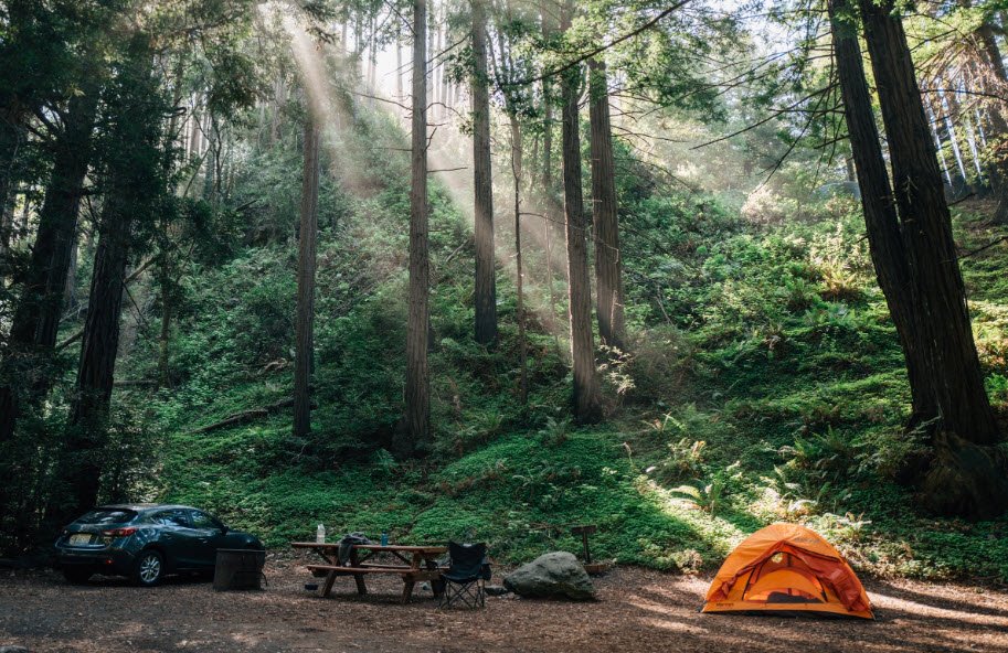 Limekiln State Park, California, USA